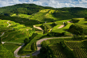 好消息！中国战队状态火热，量子特攻国际赛有望夺冠！